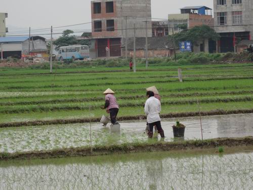 ������˼�ش�������