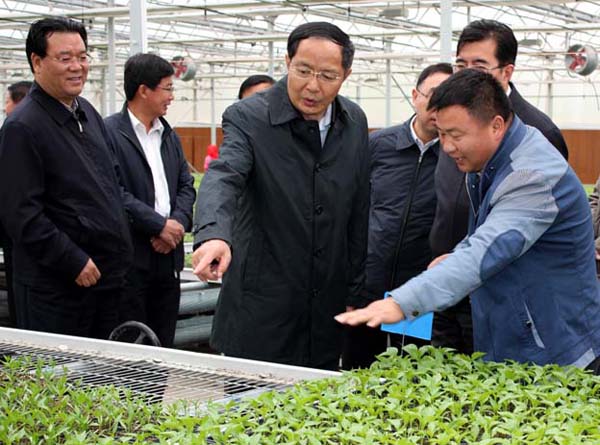 ࣺӿɫҵ ƶִũҵչ