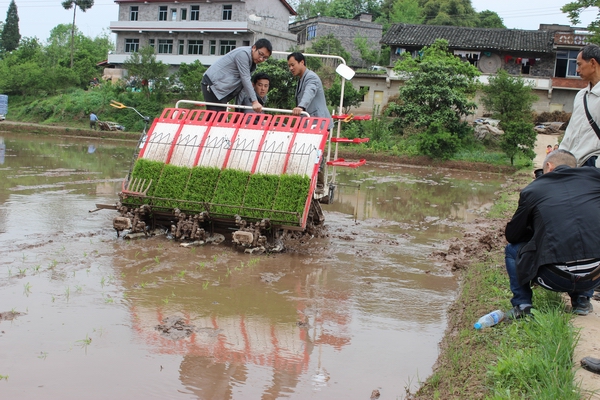 ���������ٿ�ˮ��������������ѵ�ֳ���