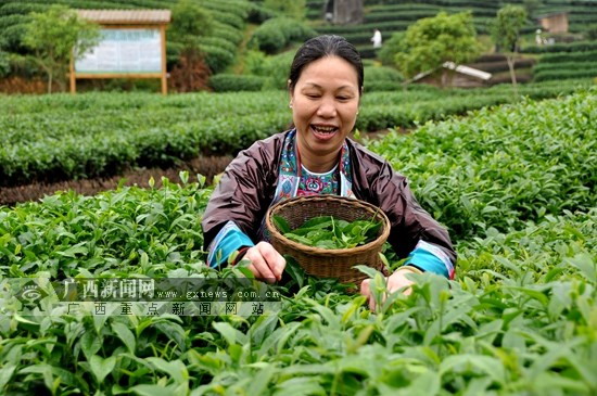 ��������ȫ���ժ���� ����ʱ���Ƴٽ�һ��