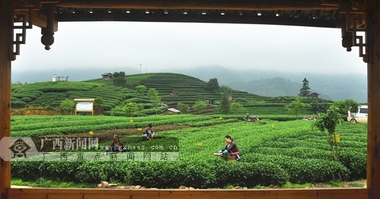 4��20�գ�������ũ���������������ذ˽��粼���԰��ժ���衣