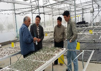 �㽭�����У�����ũ����������������ʩũҵ���