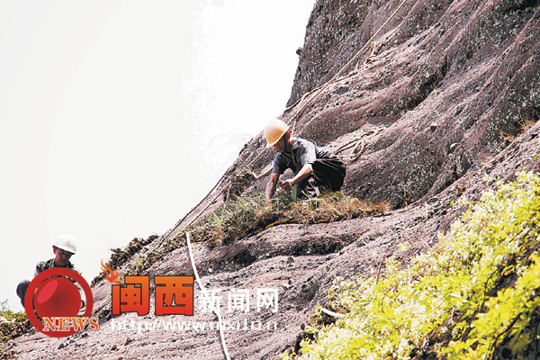 ���������ڹ���ɽ��ֲ��Ƥʯ������2000����