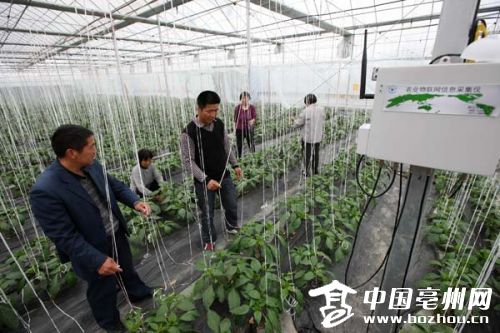 ���������ɳǷ�չ�ǻ�ũҵ Ϊ��ʩũҵ��չװ�����ԡ�