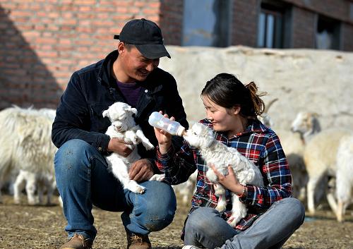 ɭ׶²ϣ󣩺ӺһιС̣413㣩