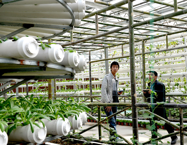 ����ʡ��Ĳ�ؾٰ조���鶼��ũҵ�����껪�