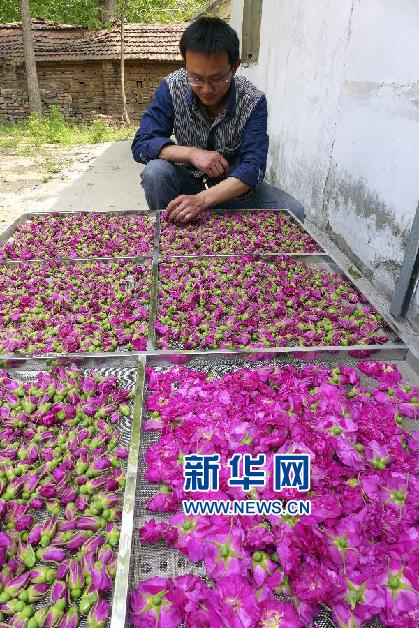 4��20�գ�ɽ����ƽ�γ�õ����ֲ���ع����ڷ�����ժ��õ���ʻ��١�