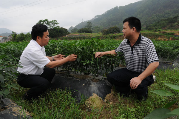 �����ֱ���������������