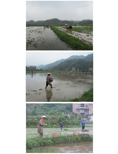 ���������е�����æ