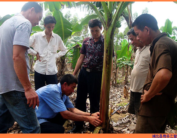 �����ֱ�������� ���ֽ��ؾ�æ