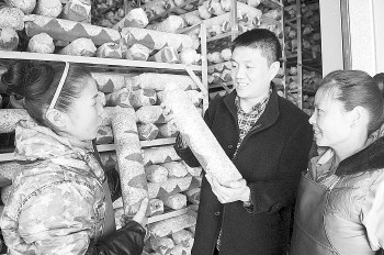 ɽ���Ͳ��ʹ�Ģ���������ǡ�