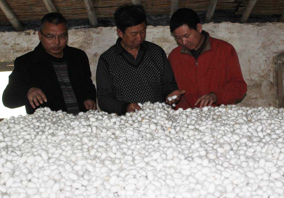 �����綫�紺ȫ���˹���������Բ���ɹ�