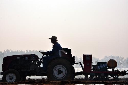 4��22�գ���ɽ��ʡ�ĳ�����ƽ�ؼ�կ�򣬵�ʢ������ֲרҵ�������ũ���ڲ��ִ�������