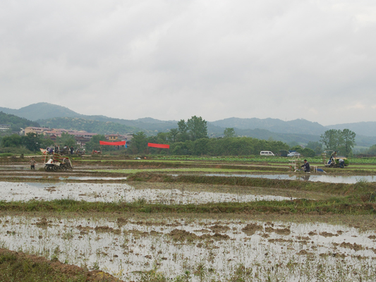 福建建阳:徐市村举办水稻机械插秧现场演示会3