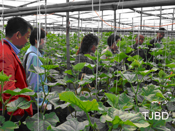 ��������߲��������ʱ�����Ŀ�Խӽ�չѸ��