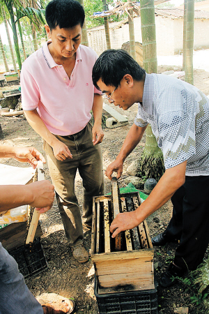 ���ϣ��۷������ר����֧��