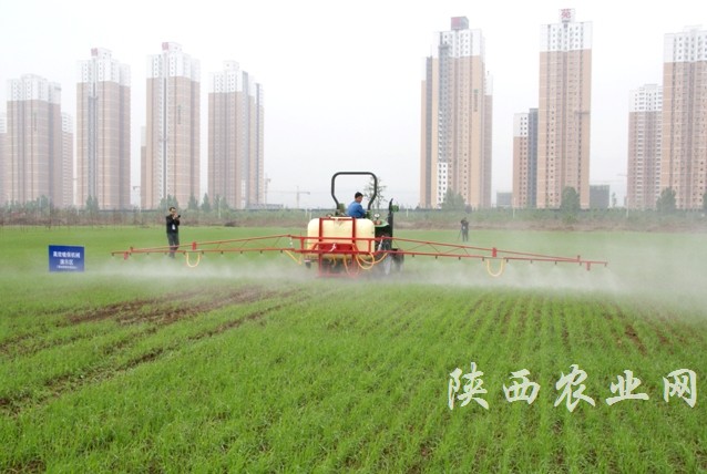 ���͸�Чֲ��������ʾ�ֳ�