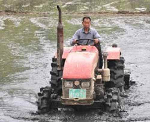 �����������У����ˮ�촺��æ