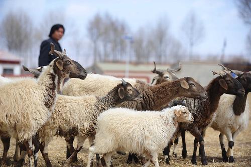 �ຣ�Ӵ�������ȱ�����ԭ��̬