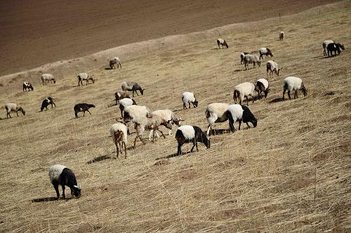 �����ຣʡͬ�����ƹ���һ��ɽ���ϵ���Ⱥ��