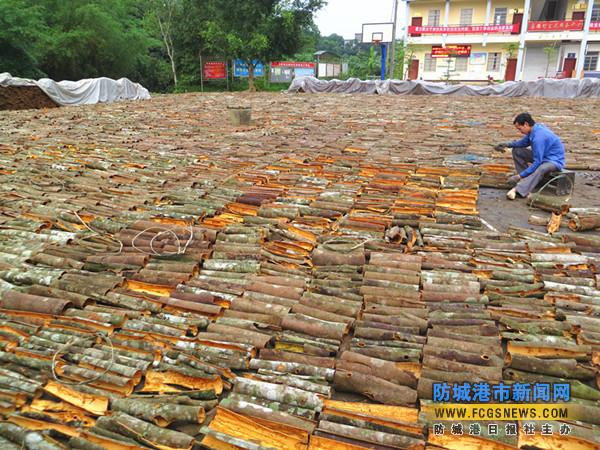 �������Ǹ۶�������·��ʼ�ɰ����Ƥ