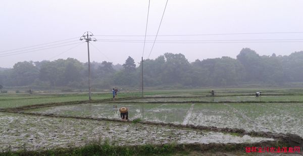 ��������ȫ���أ���������ʱ