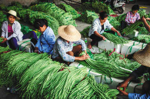 ִ̽ũҵͨģʽ ϱۻũ