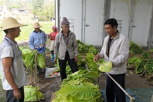 ������������վ���뿾����ָ����Ҷ�ɿ�