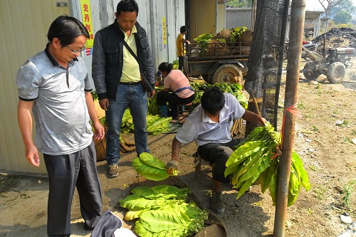 ������������վ���뿾����ָ����Ҷ�ɿ�2