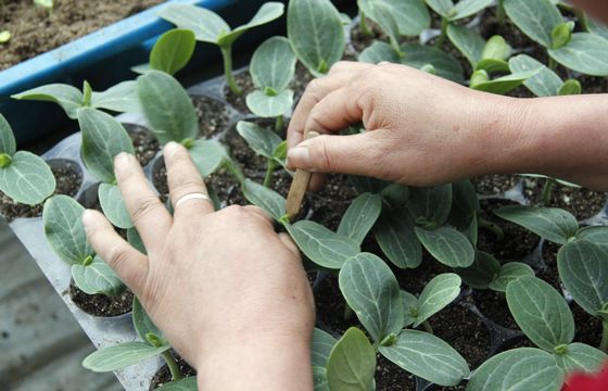 ���ջ��ϣ�ר���߽�����������ϼ޽Ӽ���