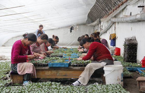 ���ջ��ϣ�ר���߽�����������ϼ޽Ӽ���2