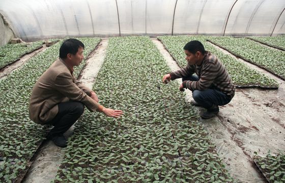 ���ջ��ϣ�ר���߽�����������ϼ޽Ӽ���3