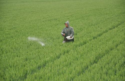 ɽ������ӭ����Χ���� ������������