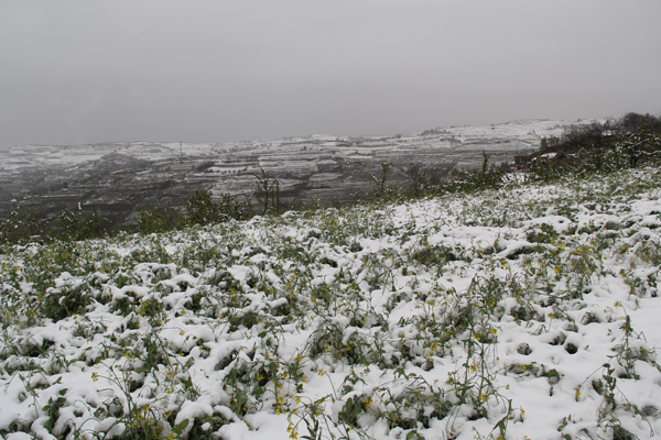 ������ˮ�����ѩ���ֺ����ũ������������