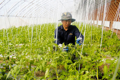 �����������أ�������������Ʒ��������ƽ��Ķ��1.5���