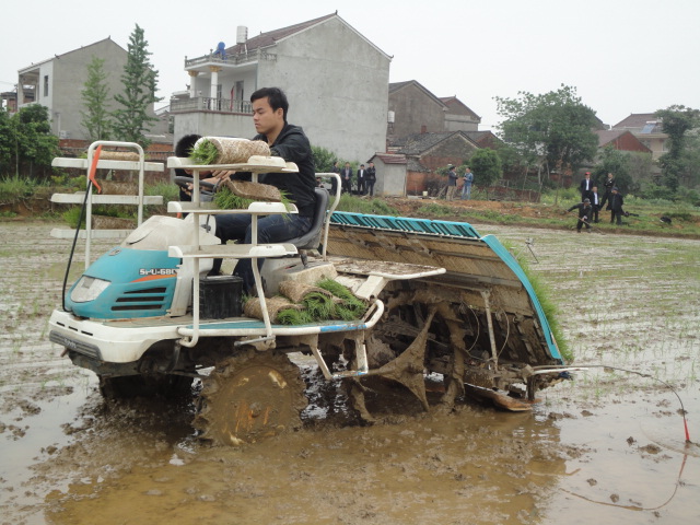 安徽望江县召开早稻机插秧现场会