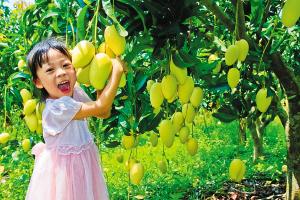 ���ϲ���â�����ռ��� ���οͷ�������