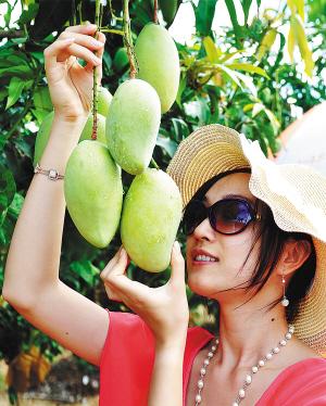 �ο������ܲ�ժ��Ȥ