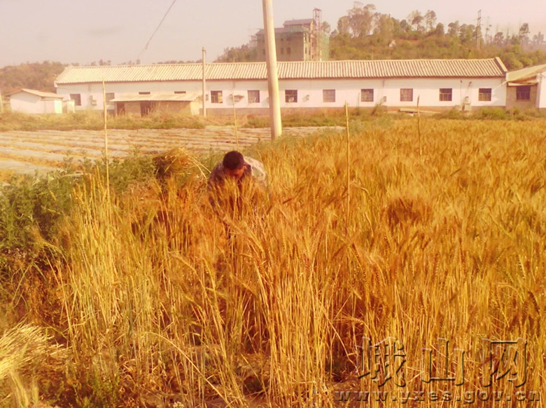 Ϫжɽش̶ͳվԱСв