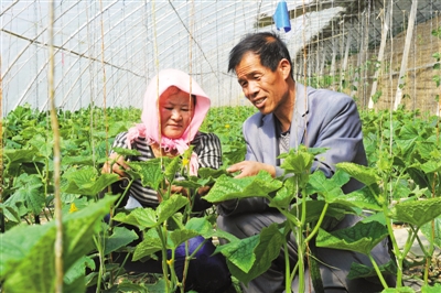 宁夏固原市:扫扫二维码请你来监督