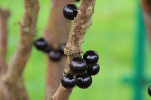 �������Ǹۺ��޴���������������