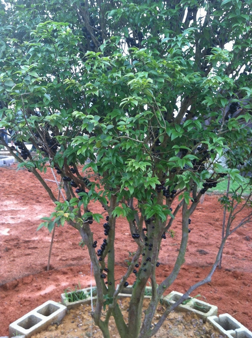 �������Ǹۺ��޴���������������2