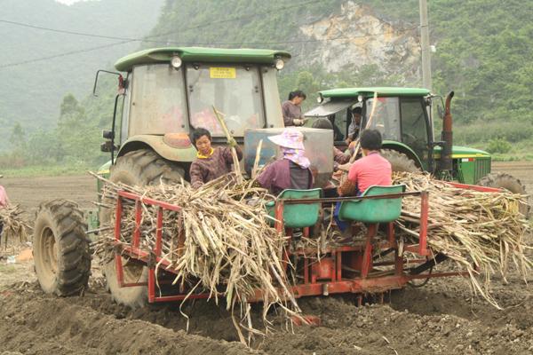 �������ץס����ʱ�ڼӽ��ƽ�������ֲ