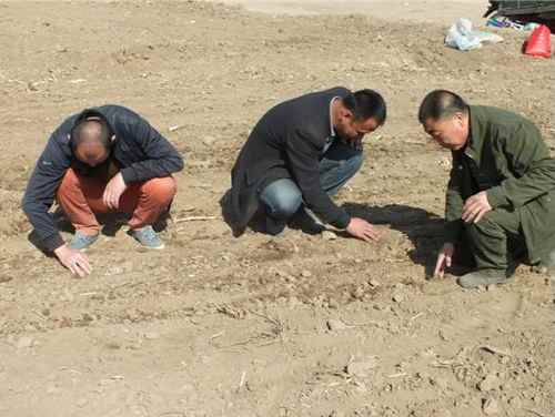 2014�����ɹ�������ǰ��С��߲�������Ŀ���ֹ���˳�����