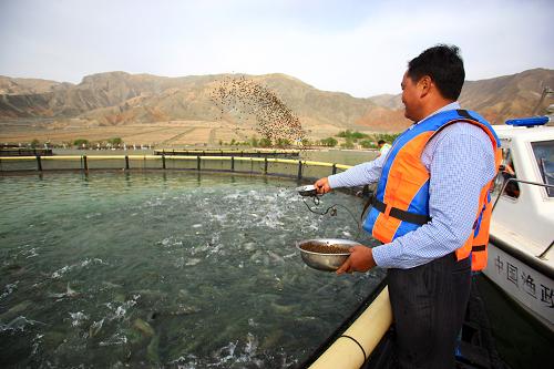 �ຣ��¡��ũ��רҵ������������ɫˮ����ֳ