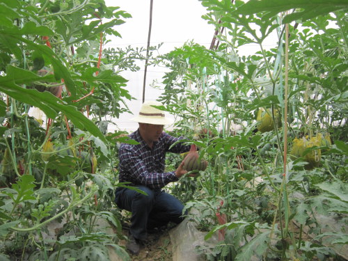 �ຣʡ��������ġ���¡�ˡ�