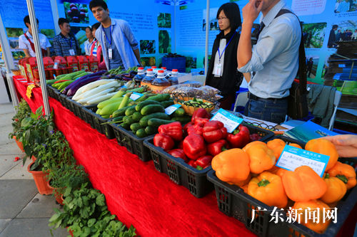 广东罗浮山农特旅游产品展销会吸引海内外客商关注