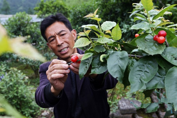 ���ݹ����ڵ������ؿ�ӣ�Ҿ���·�� �º���ɫ���ô���