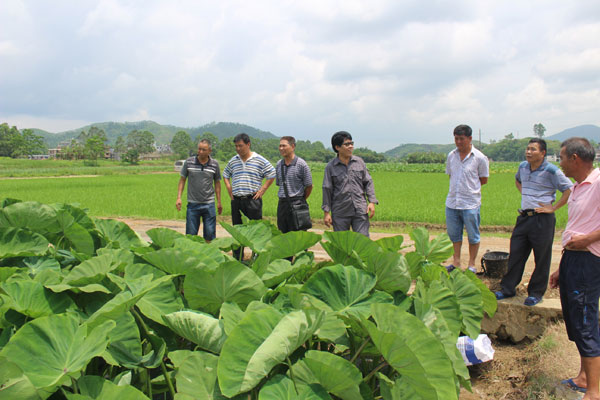 ����������ͷ���ֱ������仧