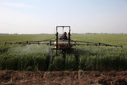 5��6�գ�ũ���ںӱ�ʡ��Ƥ�ض��岦����ʾ������ʻ����ʽ����������ũҩ��